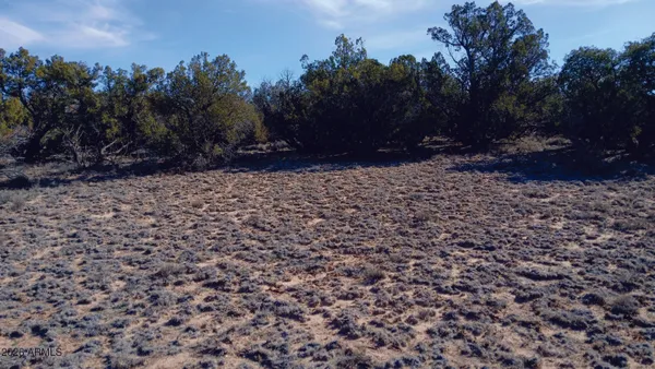 a view of outdoor space