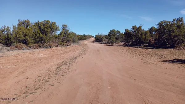 a view of a dry yard with trees in the background