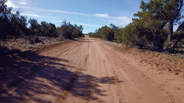 a view of a dry yard with wooden fence