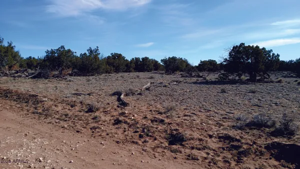 a view of dirt field with trees in background