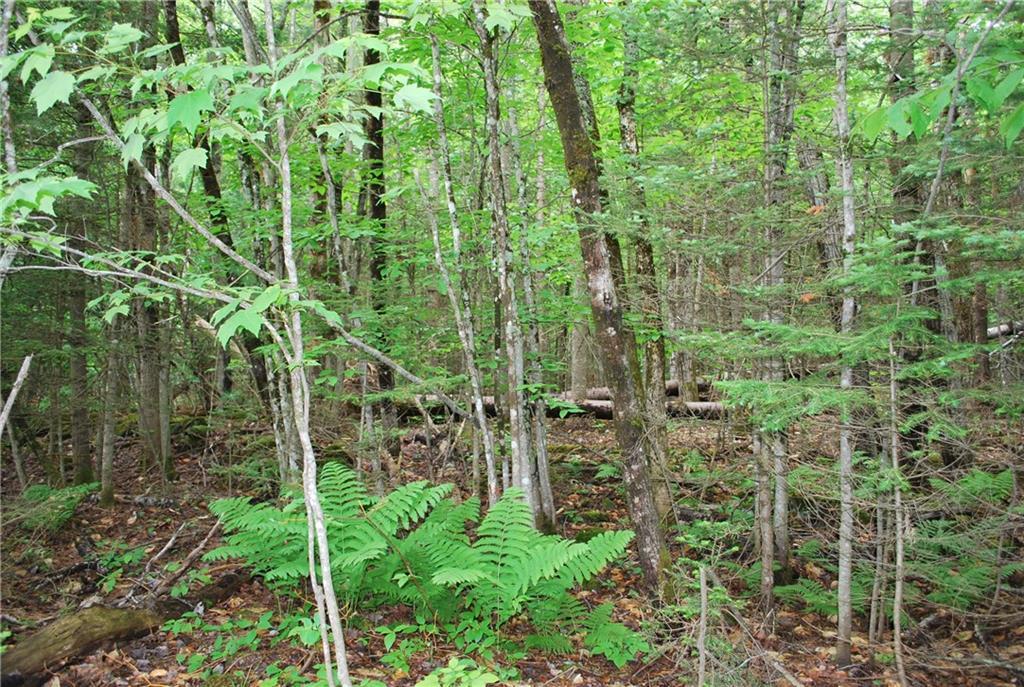0 Tripp Road Ripley, ME 04930 - Photo 2 of 15 Photo