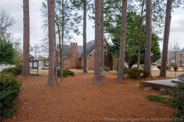 a view of a backyard with plants