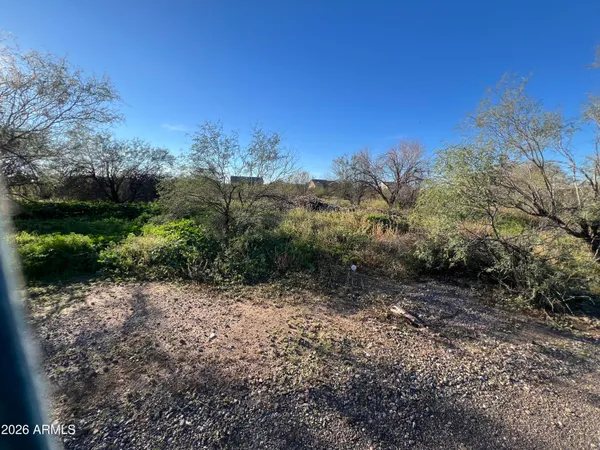 a view of a pathway with a yard
