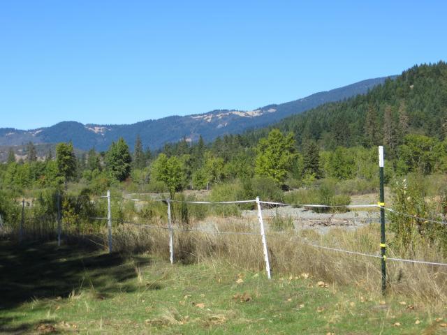 2500 Van Duzen Road Bridgeville, CA 95526 - Photo 5 of 48