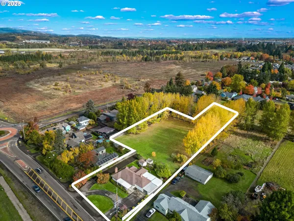 a view of yard with trees