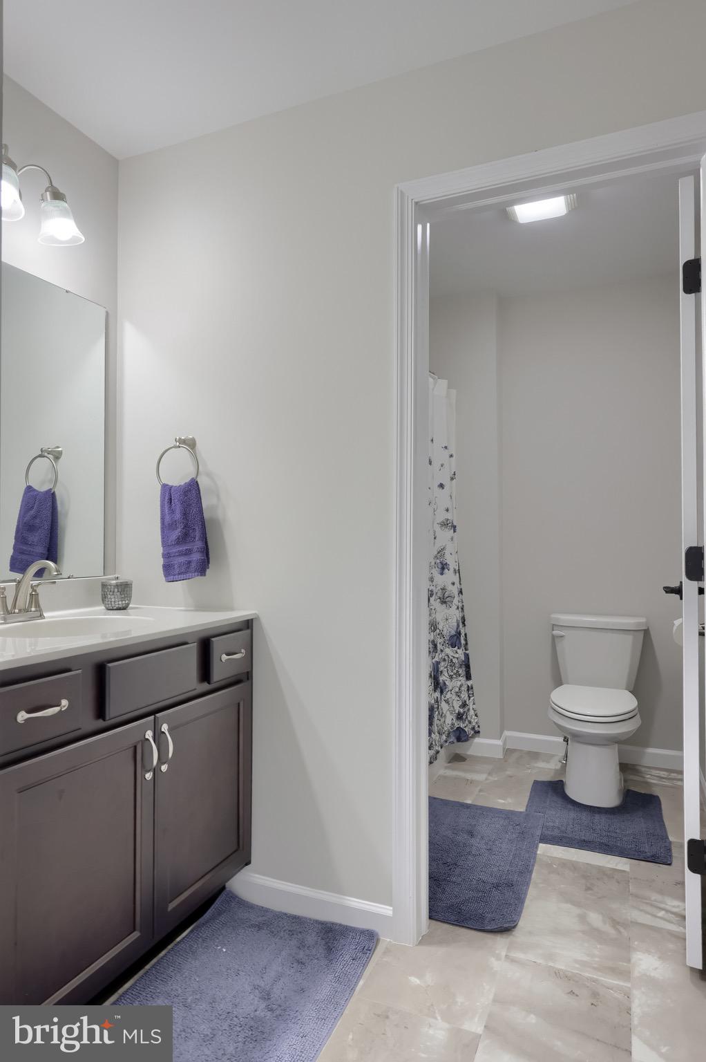 315 Goshawks Road Denver, PA 17517 - Photo 69 of 92 Full Bathroom