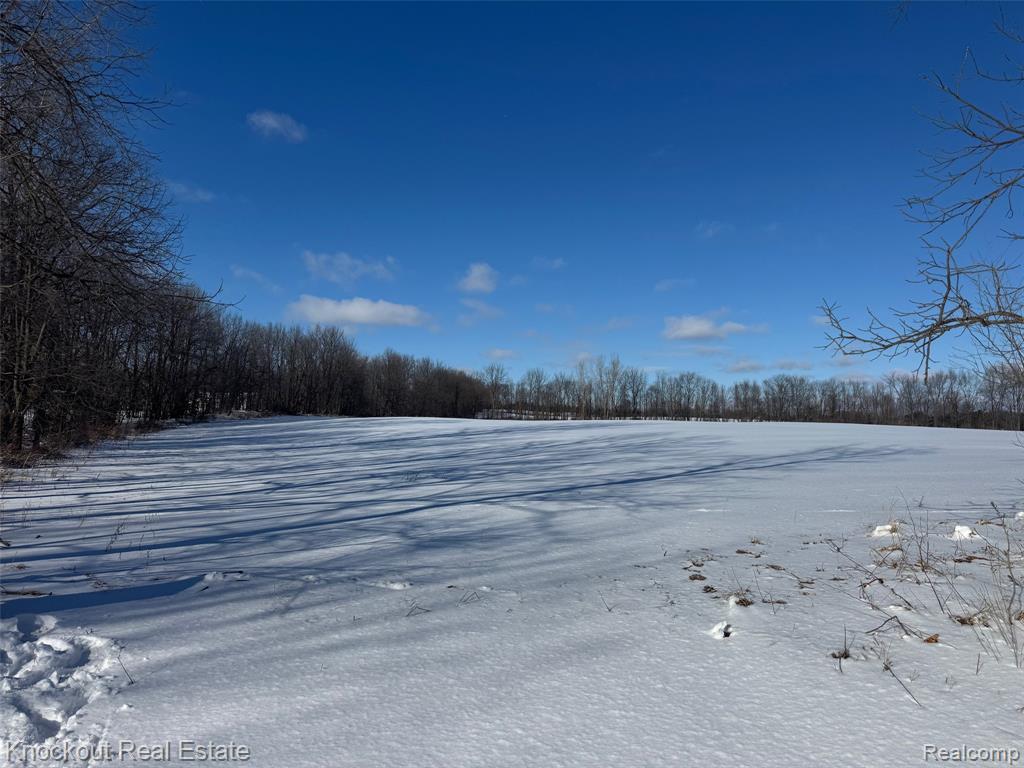 Parcel B West Murphy Lake Road Mayville, MI 48744 - Photo 1 of 1
