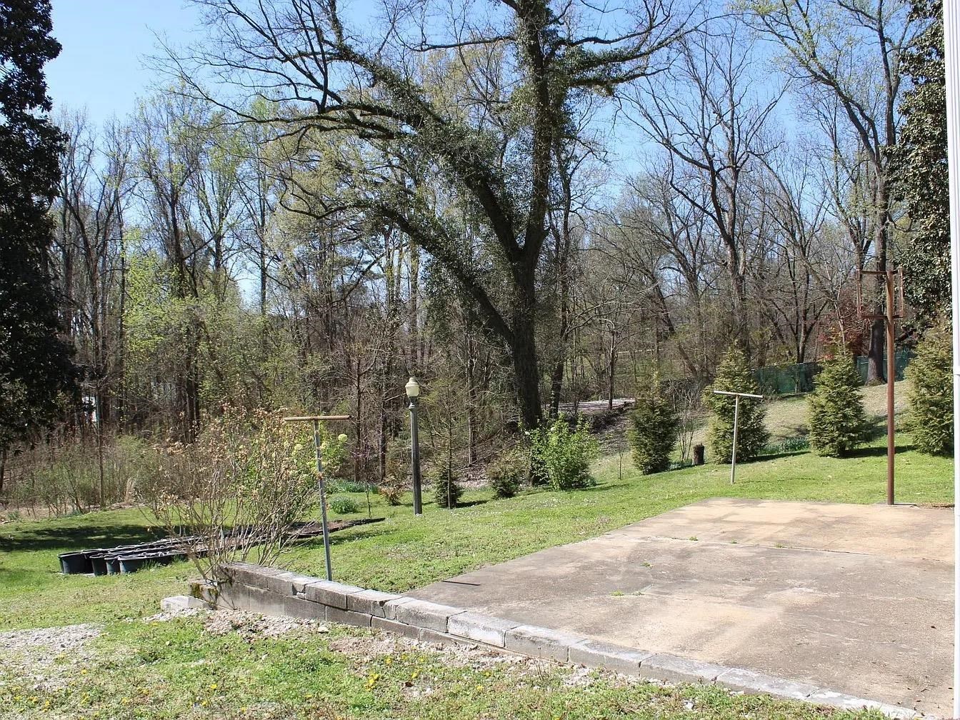 230 Lake Drive Ripley, TN 38063 - Photo 21 of 24 a backyard of a house with lots of green space