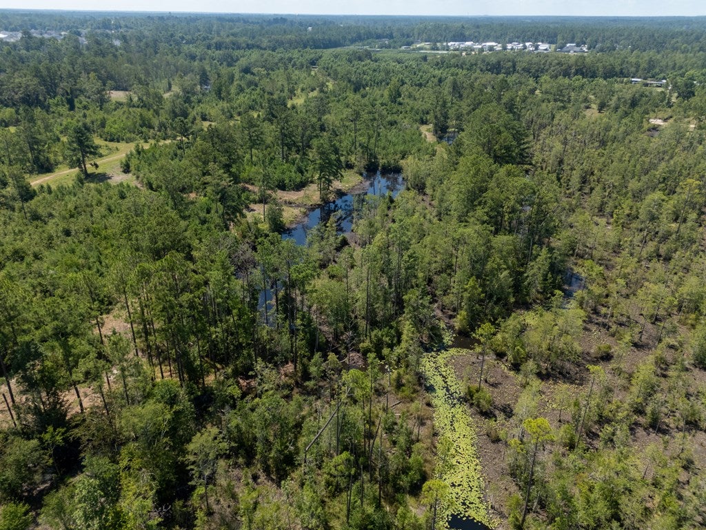 0 Union Road Hahira, GA 31632 - Photo 11 of 49 Gallery Image 11