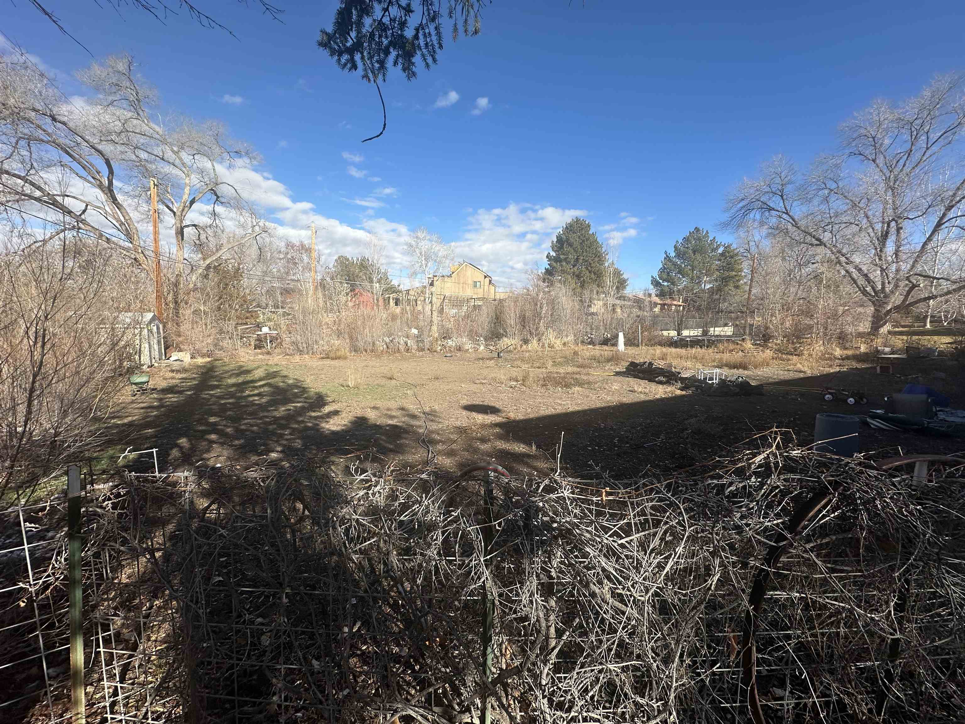 2674 Capra Way Grand Junction, CO 81506 - Photo 3 of 3 a view of a yard with a tree