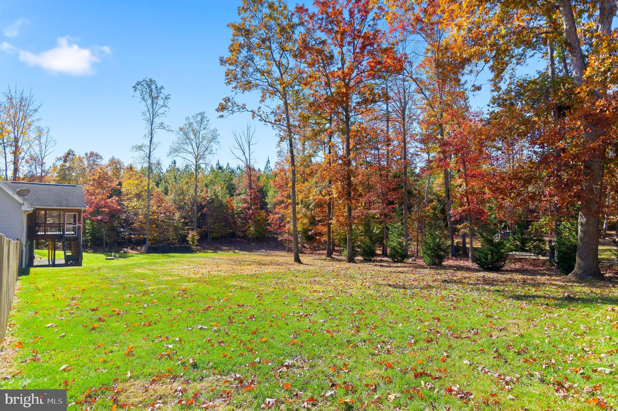1923 Hensley Road Mineral, VA 23117 - Photo 35 of 62 a backyard of a house with lots of green space and fountain