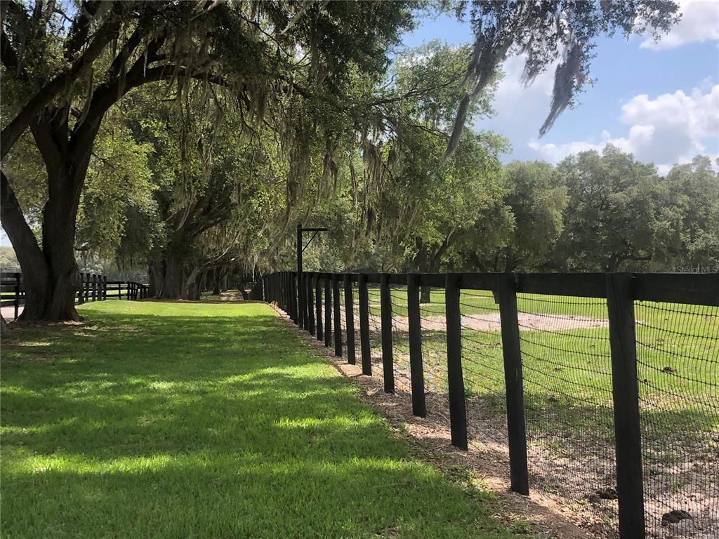 30th Street Morriston, FL 32668 - Photo 5 of 5