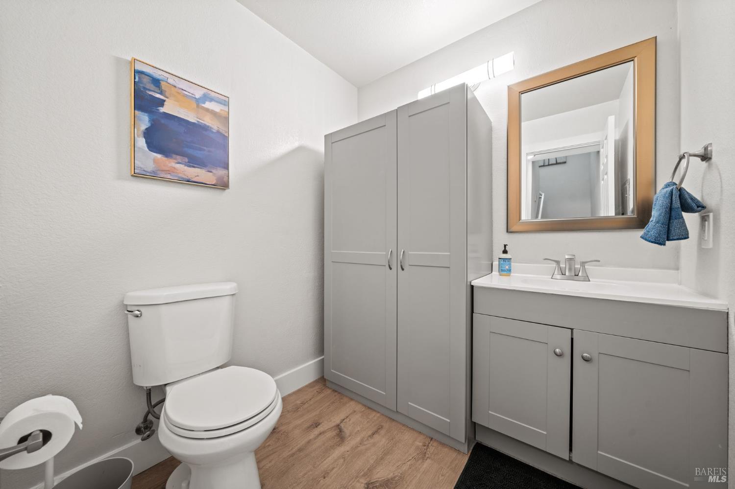 5199 Firestone Place Santa Rosa, CA 95409 - Photo 15 of 28 Half Bath