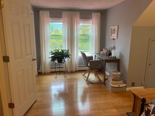 5009 Dobyns Road Claudville, VA 24076 - Photo 18 of 54 IMG_3669