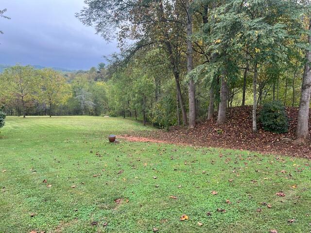 5009 Dobyns Road Claudville, VA 24076 - Photo 31 of 54 IMG_3676
