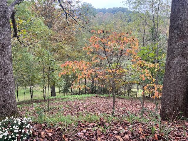 5009 Dobyns Road Claudville, VA 24076 - Photo 35 of 54 IMG_3680