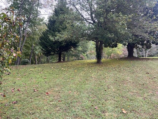 5009 Dobyns Road Claudville, VA 24076 - Photo 39 of 54 IMG_3684