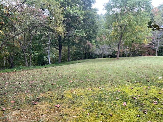5009 Dobyns Road Claudville, VA 24076 - Photo 40 of 54 IMG_3685