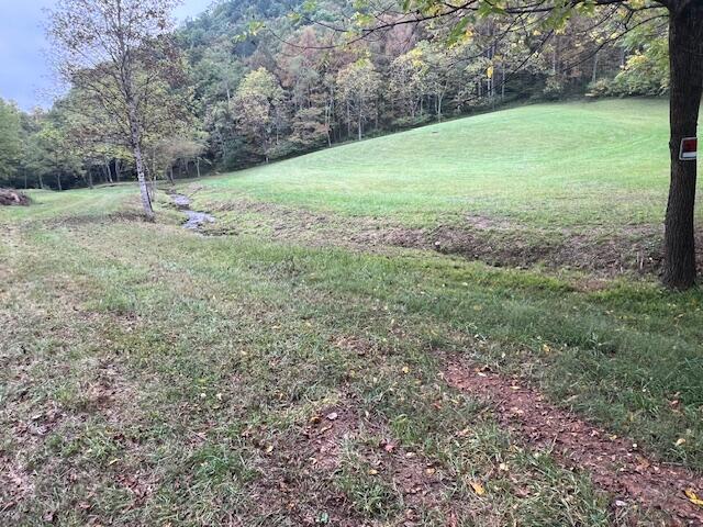 5009 Dobyns Road Claudville, VA 24076 - Photo 45 of 54 IMG_3689