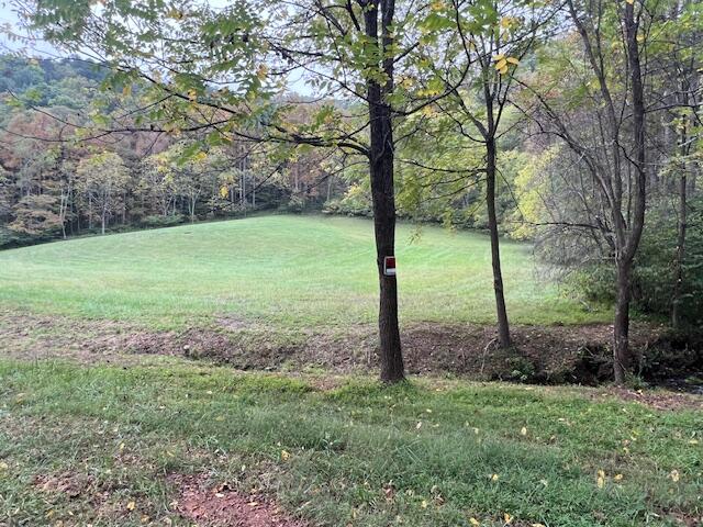 5009 Dobyns Road Claudville, VA 24076 - Photo 46 of 54 IMG_3690