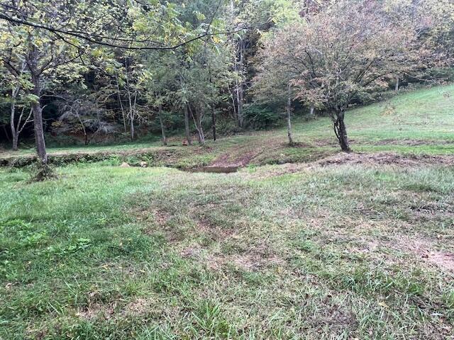 5009 Dobyns Road Claudville, VA 24076 - Photo 47 of 54 IMG_3691