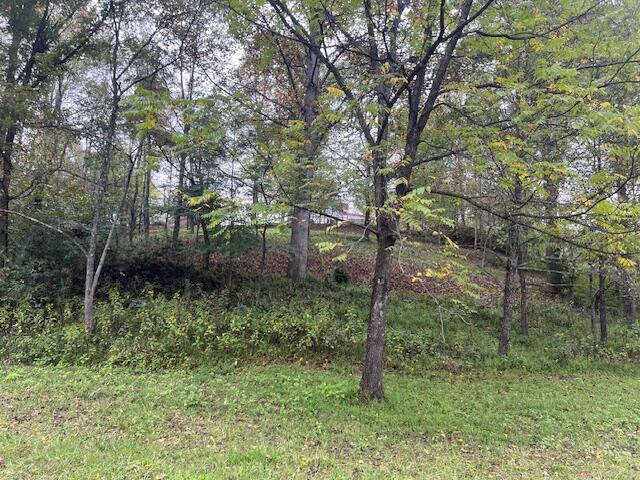 5009 Dobyns Road Claudville, VA 24076 - Photo 48 of 54 IMG_3692