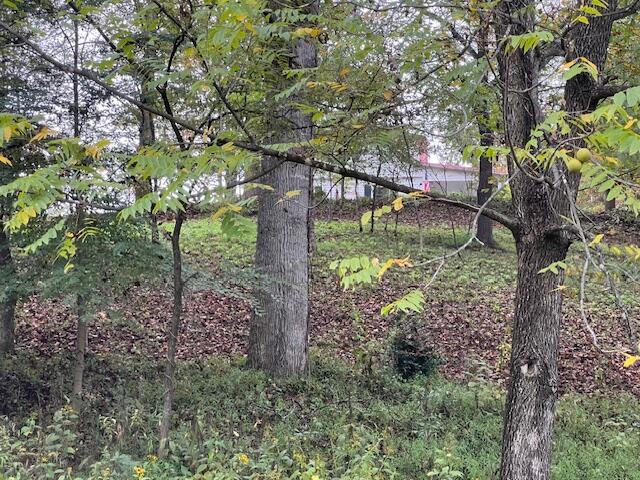 5009 Dobyns Road Claudville, VA 24076 - Photo 49 of 54 IMG_3693