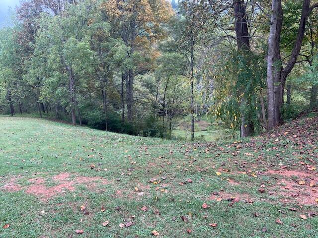 5009 Dobyns Road Claudville, VA 24076 - Photo 52 of 54 IMG_3696