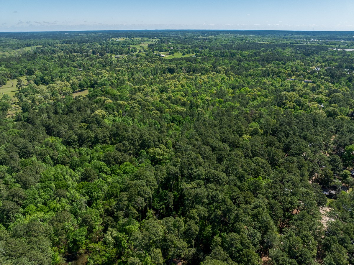 Tbd Calvary Road Willis, TX 77318 - Photo 11 of 22 Gallery Image 11
