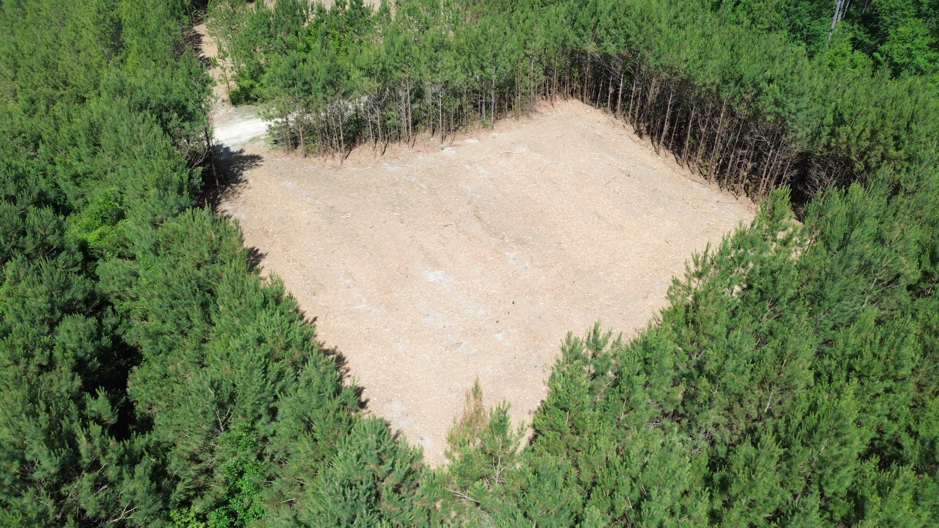 5 Highway 311 Cross, SC 29436 - Photo 6 of 11 DJI_0426