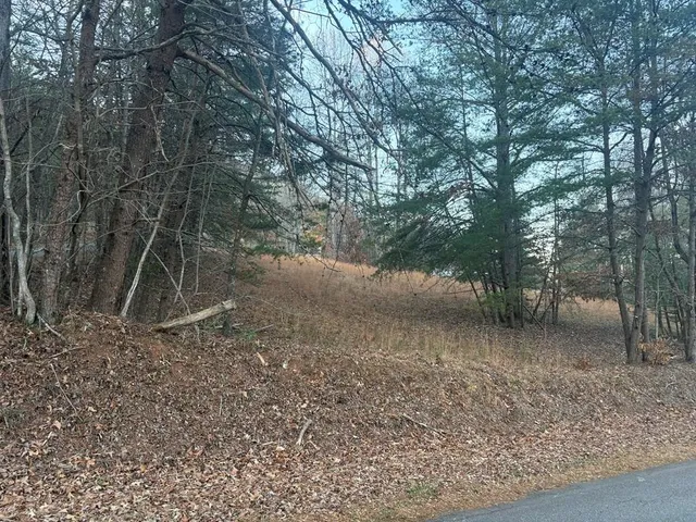 $59,000 | Lot 6 Twin Mountain Road, Hiawassee, GA 30546
