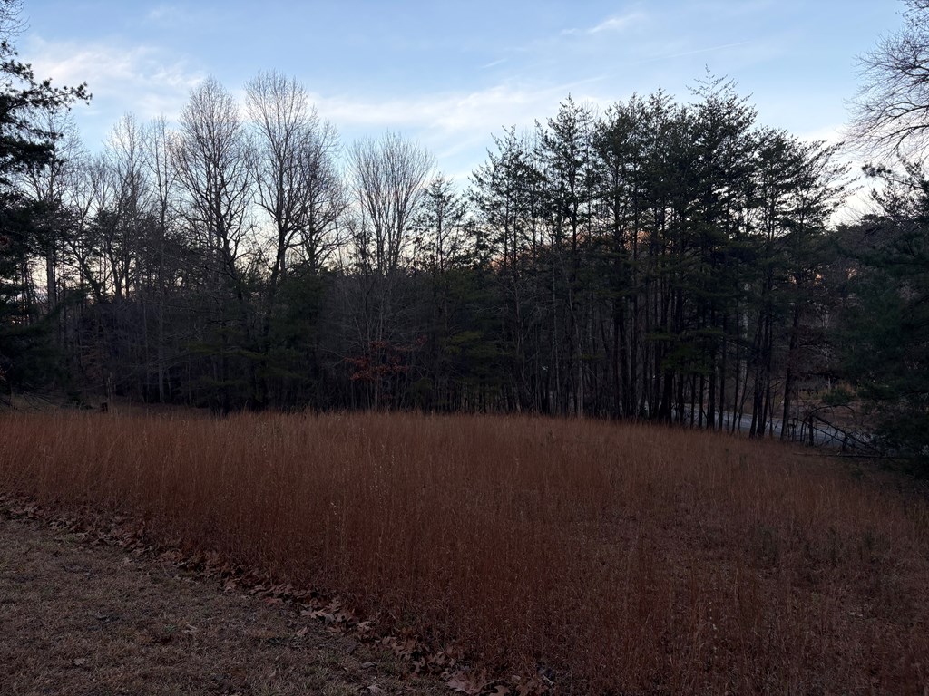 Lot 6 Twin Mountain Road Hiawassee, GA 30546 - Photo 5 of 11