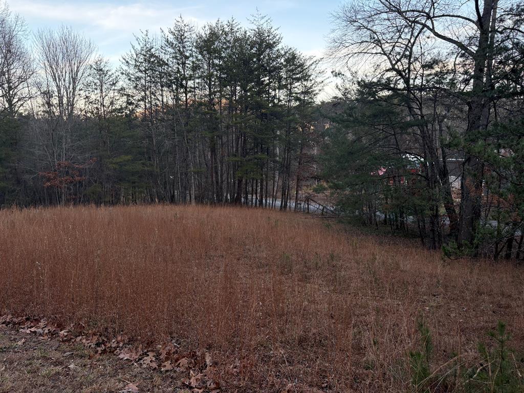 Lot 6 Twin Mountain Road Hiawassee, GA 30546 - Photo 6 of 11