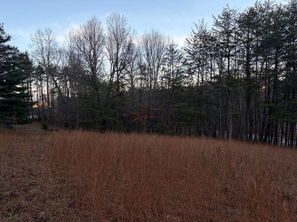 Lot 6 Twin Mountain Road Hiawassee, GA 30546 - Photo 8 of 11