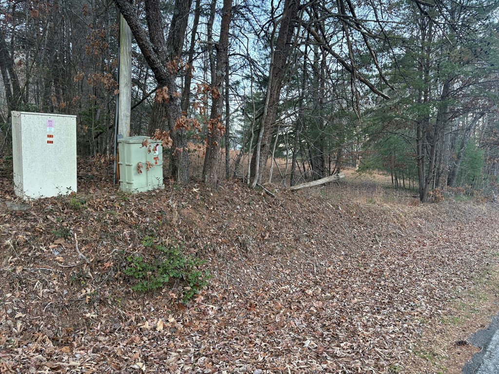 Lot 6 Twin Mountain Road Hiawassee, GA 30546 - Photo 9 of 11