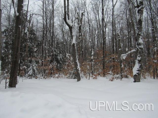 16 Mile Lake Road Munising, MI 49862 - Photo 7 of 16