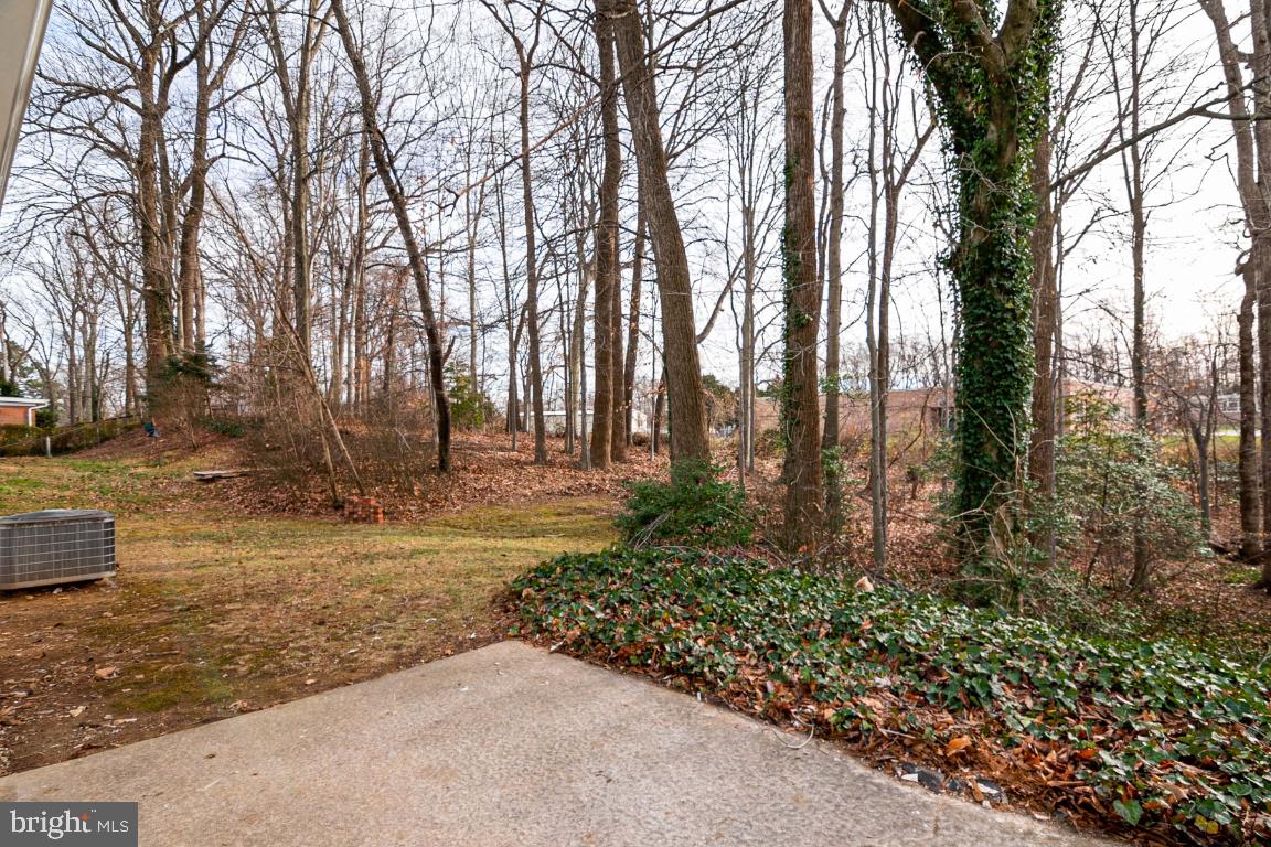 8601 Parliament Drive Springfield, VA 22151 - Photo 25 of 28