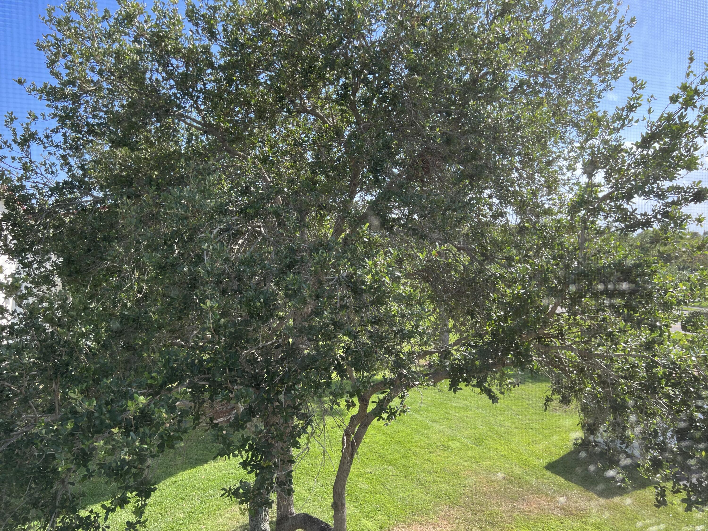 251 Brighton F, Unit 251 Boca Raton, FL 33434 - Photo 12 of 13 View
