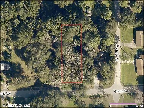 $70,000 | Grant Avenue, Eustis, FL 32726