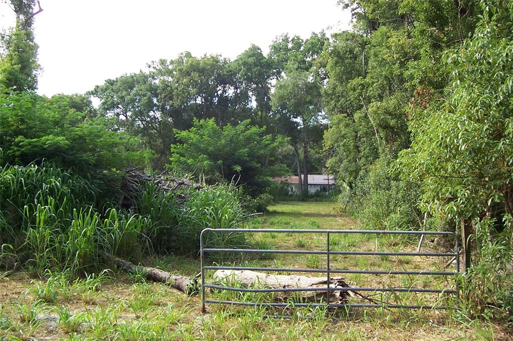 Grant Avenue Eustis, FL 32726 - Photo 2 of 7