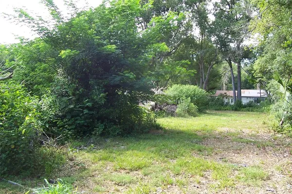 $70,000 | Grant Avenue, Eustis, FL 32726