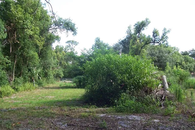 $70,000 | Grant Avenue, Eustis, FL 32726