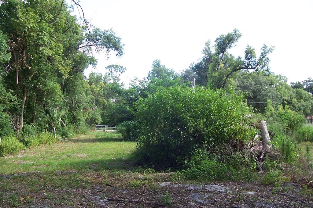 Grant Avenue Eustis, FL 32726 - Photo 4 of 7