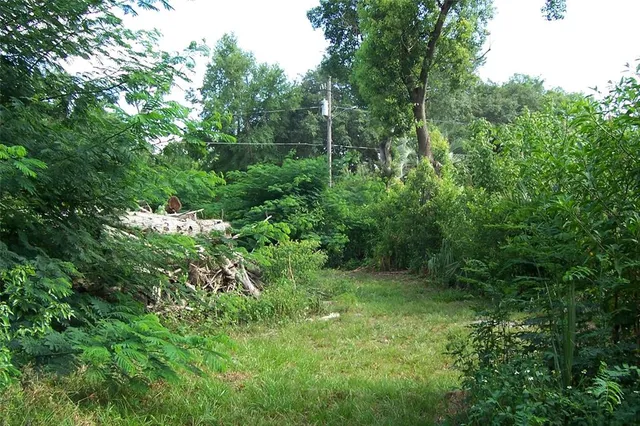 $70,000 | Grant Avenue, Eustis, FL 32726