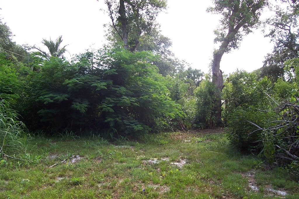 Grant Avenue Eustis, FL 32726 - Photo 6 of 7