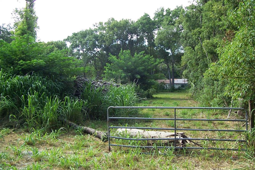 Grant Avenue Eustis, FL 32726 - Photo 7 of 7