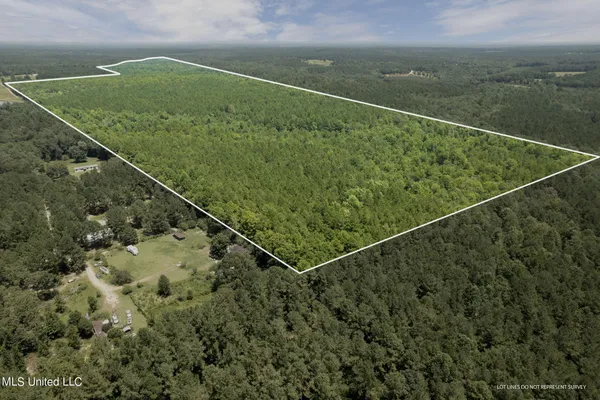 $1,728,700 | 293 Acres Scruggs Road, Sumrall, MS 39482