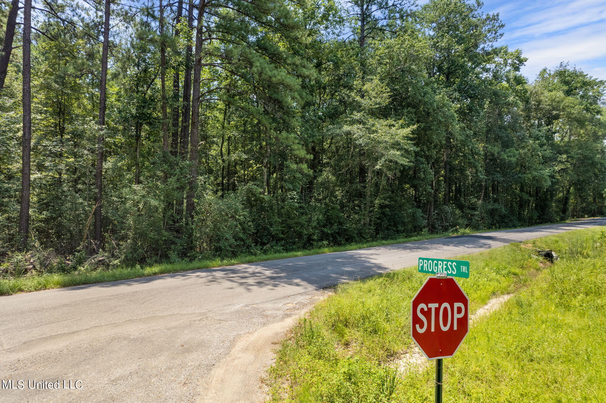 293 Acres Scruggs Road Sumrall, MS 39482 - Photo 11 of 34 0_SCRUGGS_RD-11