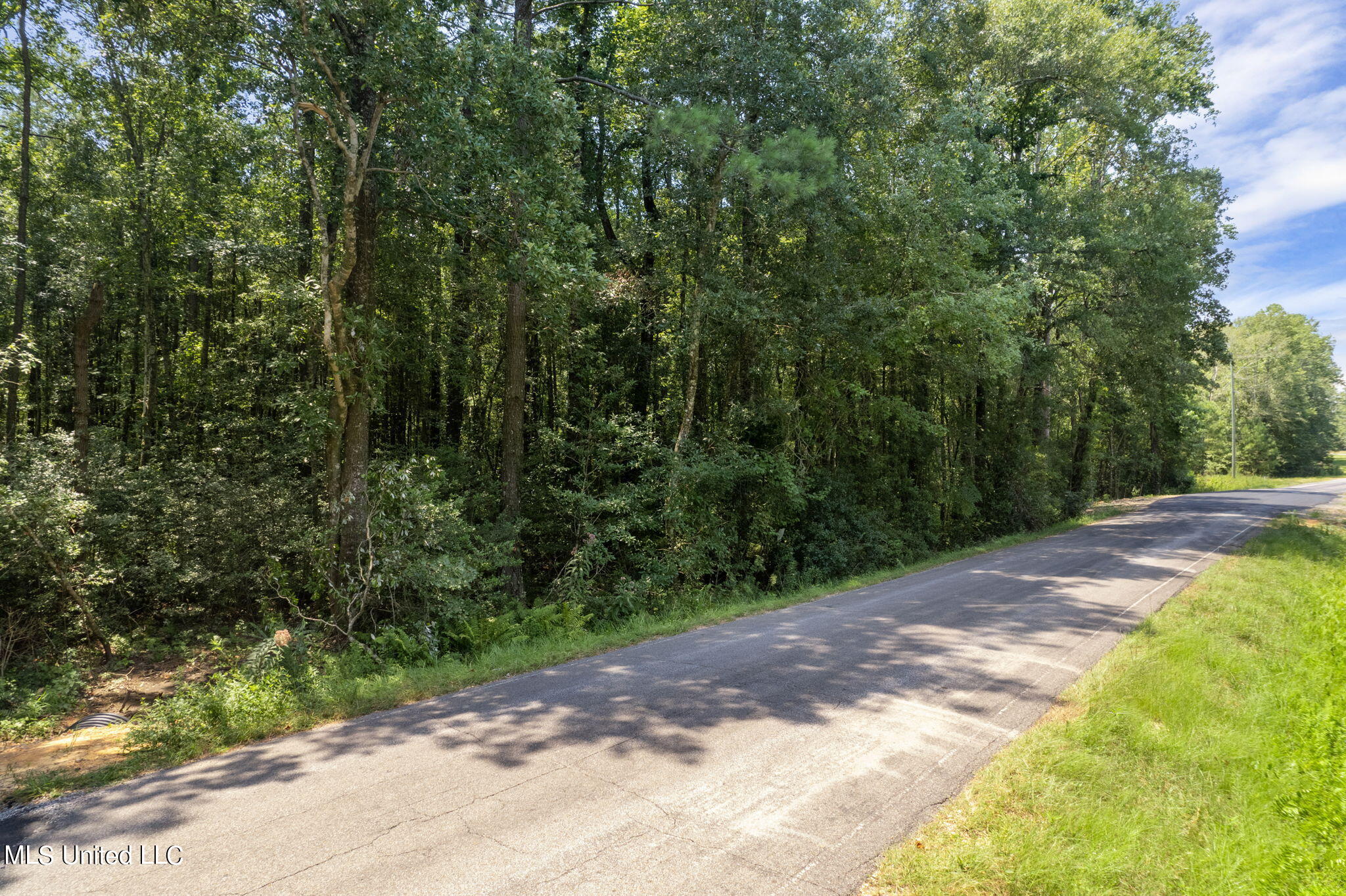 293 Acres Scruggs Road Sumrall, MS 39482 - Photo 12 of 34 0_SCRUGGS_RD-12