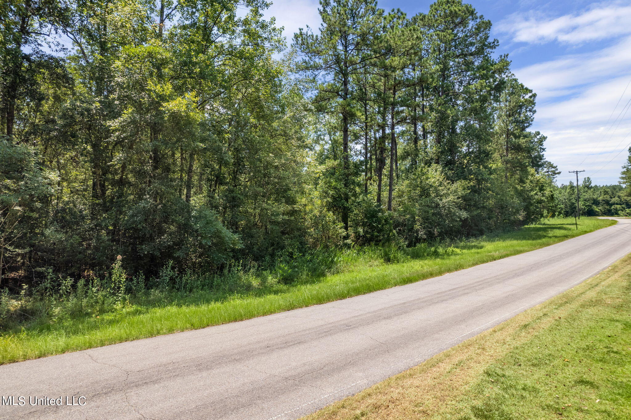 293 Acres Scruggs Road Sumrall, MS 39482 - Photo 13 of 34 0_SCRUGGS_RD-13